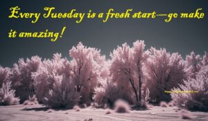 Tuesday Motivation 1