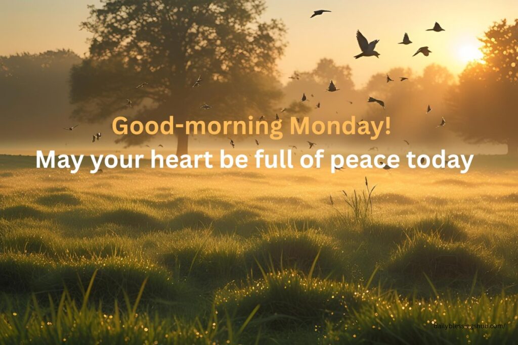101 Good Morning Monday Blessings to Start Fresh 4 Good morning Monday! May your heart be full of peace today