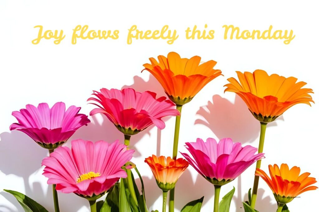 100+ Monday Blessings to Start Your Week with Positivity 11 May your path be filled with light and peace. Wishing you gentle monday blessings today 4