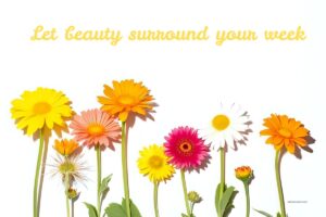 May your path be filled with light and peace. Wishing you gentle monday blessings today 5