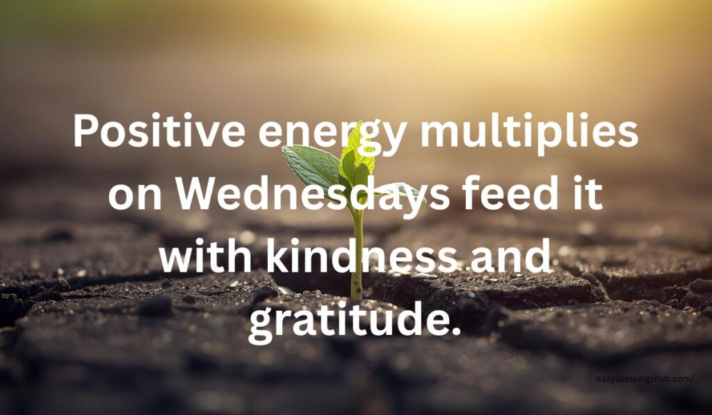 wednesday inspirational quotes